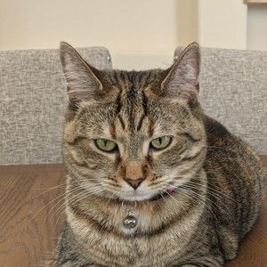 Meet your Posher, Keith